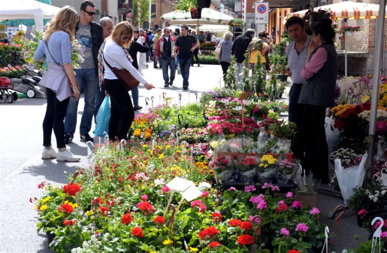 Le immagini del mercato dei fiori di Motta