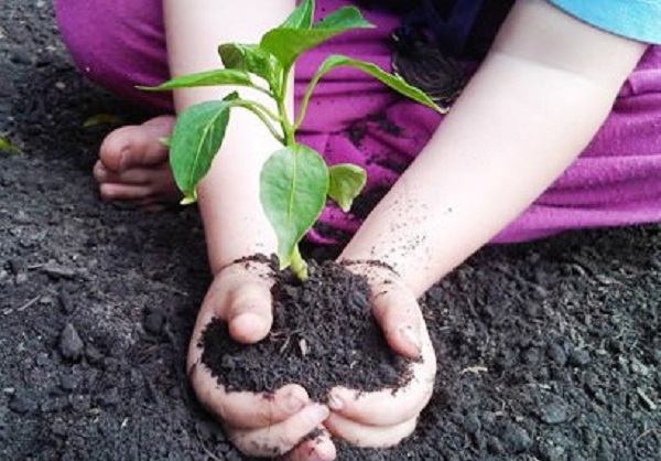 Furto di rame all’impianto di compostaggio Gaia di San Damiano d’Asti