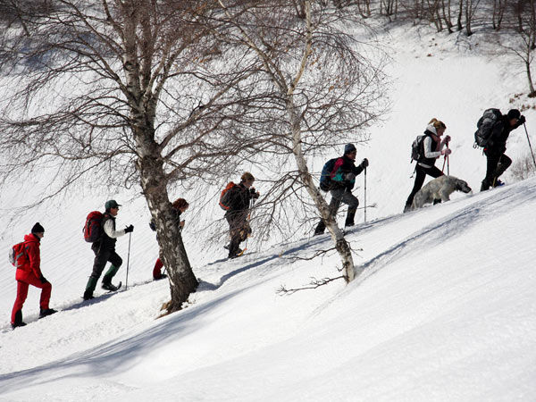 Domenica gita con racchette da neve con il Cai a Punta Razil