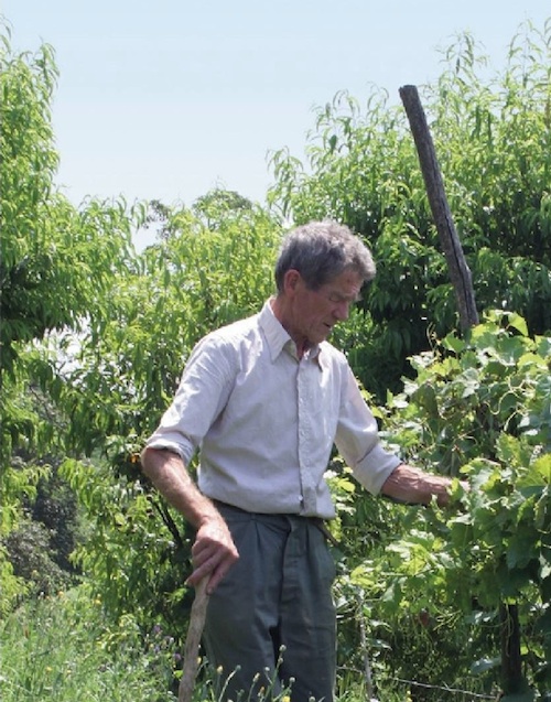 In memoria di Giuseppe Ratti. Silvia Cotto: “Ti ringrazio mentre ti immagino già all’opera a coltivare le vigne del cielo”