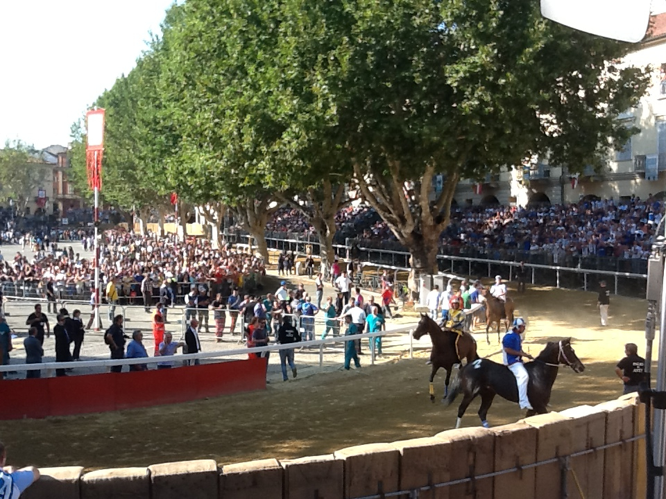 Palio 2012: i risultati della prima batteria