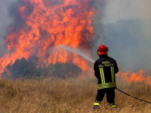 Incendio in un bosco di località Valfea