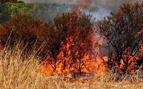 Incendi boschivi, il Piemonte dichiara la massima pericolosità dal 21 luglio