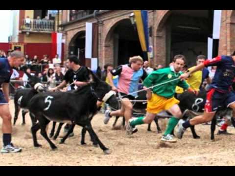 Domani il Palio degli asini a Cocconato d’Asti