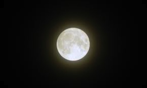 Verdeterra cammina sotto la luna piena lungo il sentiero della poiana