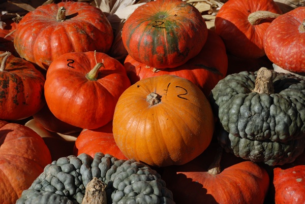 Fiera regionale del tartufo a Montiglio