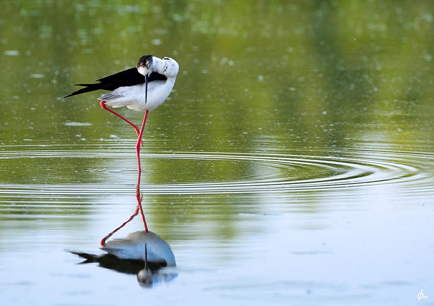 A luglio Fotobar ospita gli scatti di Fabio Mura