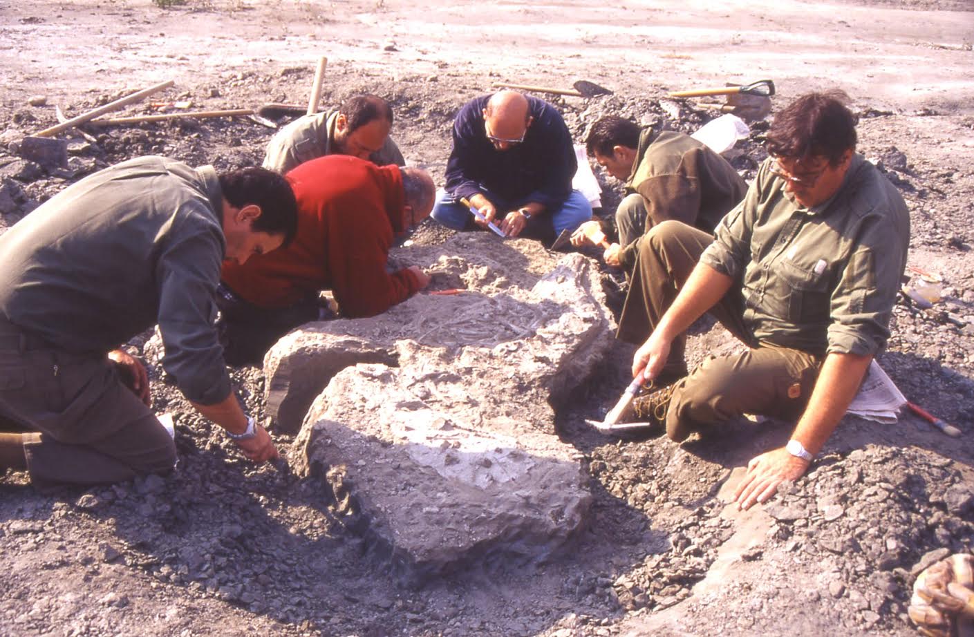  Il Museo Paleontologico chiuso dal 22 dicembre per lavori urgenti 