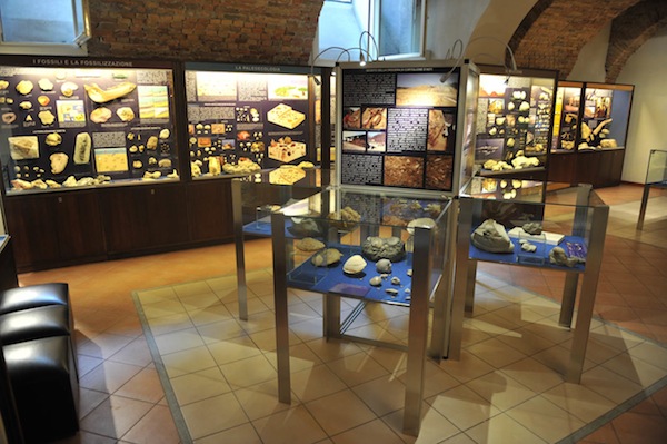 Il Museo Paleontologico unica tappa astigiana dell’iniziativa “Disegniamo l’arte”