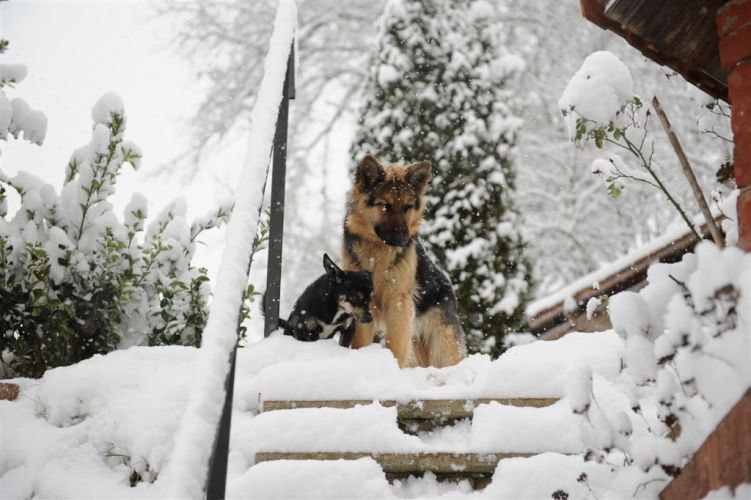 Neve sul week-end elettorale