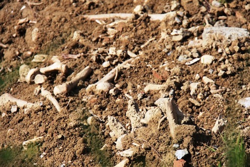 Causa maltempo riaffiorano ossa nel cimitero di Variglie