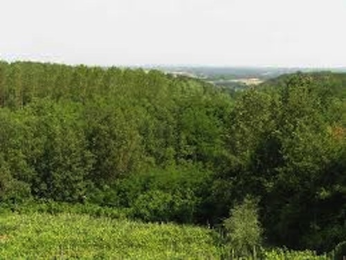 Una passeggiata in bicicletta per scoprire le campagne della Valtiglione e il parco di Rocchetta Tanaro