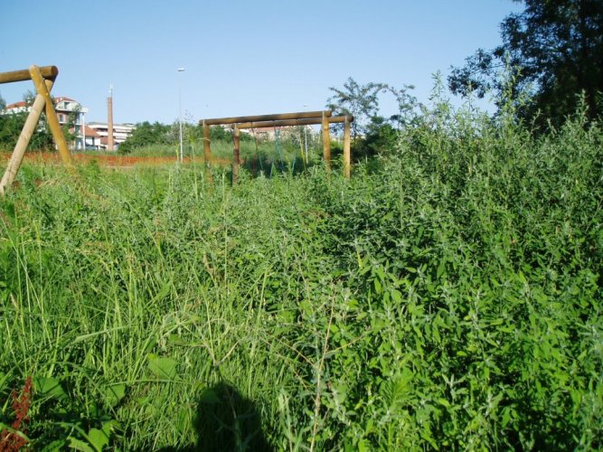 Erba alta nelle aree verdi. Brignolo: “La situazione è sotto controllo”