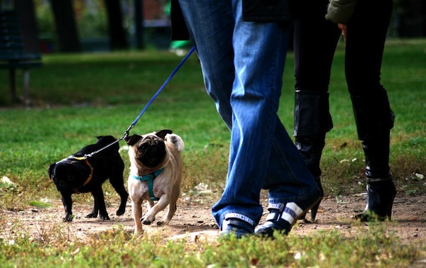 A Castiglione la Frittata in Passeggiata e Camminata