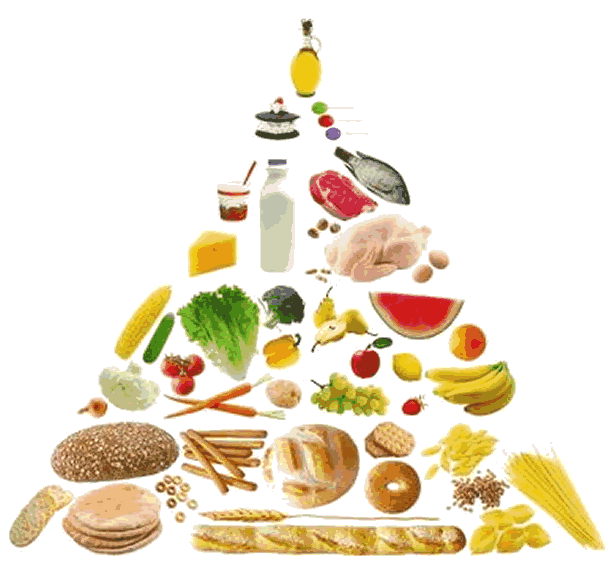 “La dieta sana e corretta: verità e falsi miti” alla Banca della Disponibilità