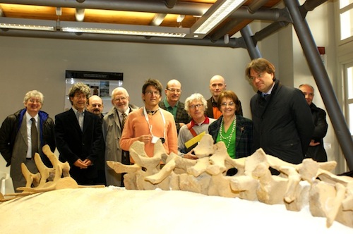 La Viglianottera, richiamo di punta del nuovo Museo Palentologico, si svela a poco a poco