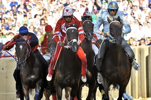 Palio 2012: al canapo i cavalli della seconda batteria