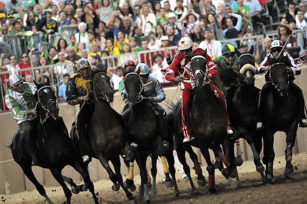 Palio 2012: cavalli al canapo per la finale