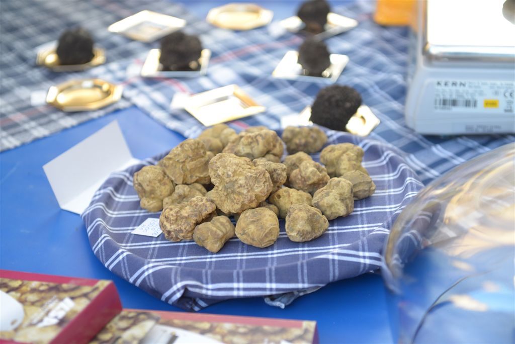 Asti, i mille profumi del tartufo e del Monferrato in mostra nei Palazzi Storici