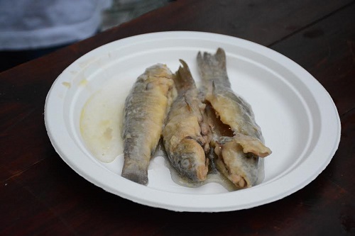 Festival delle Sagre. La Tinca gobba e il Baciuà vincono il premio Coldiretti