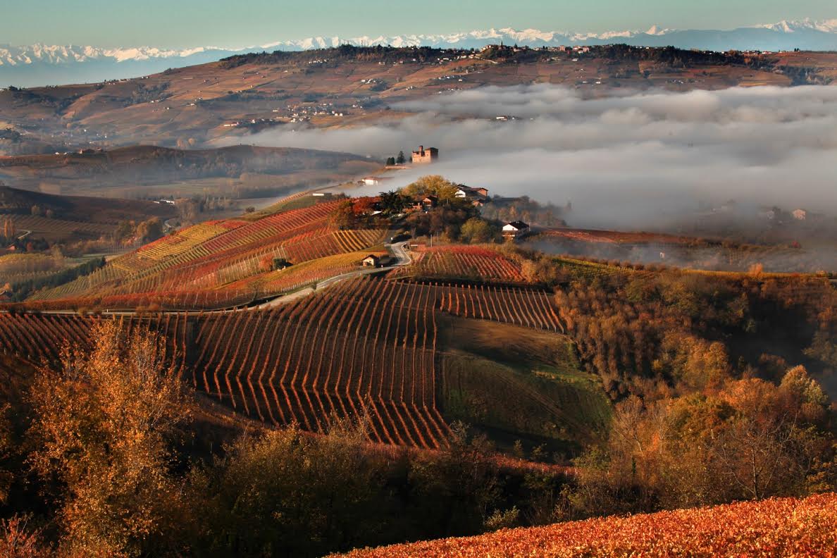 Primo anniversario dell’iscrizione de “I Paesaggi Vitivinicoli del Piemonte” nella lista del Patrimonio Mondiale Unesco