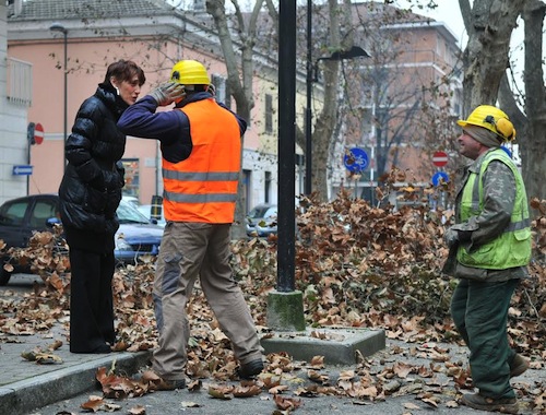 Potati gli alberi di viale Pilone e corso Torino