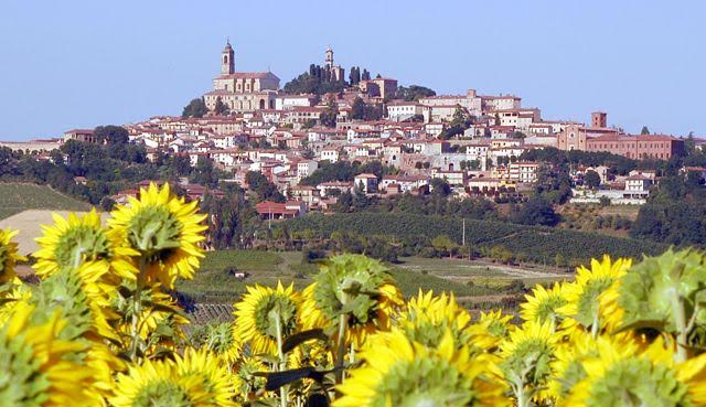 Torna il Festival dei vini di Vignale