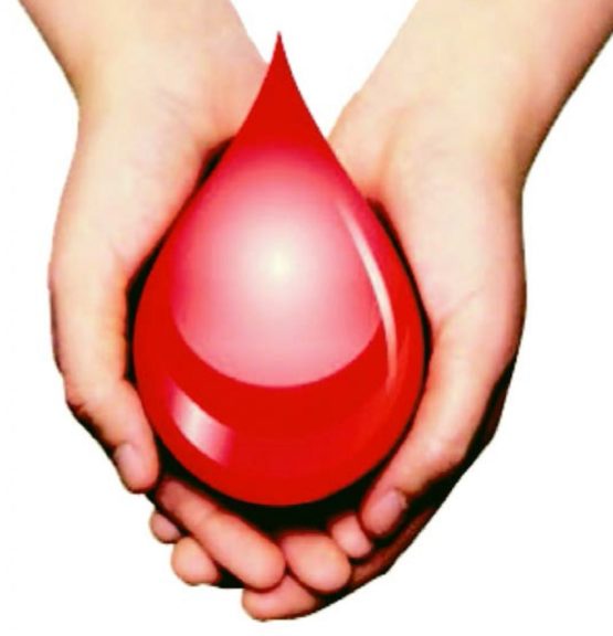L’appello dell’Avis alla donazione di sangue