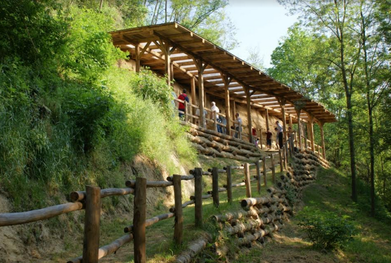 Nel bosco a osservare conchiglie, al museo per scoprire balene e delfini fossili