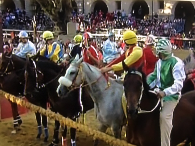 Palio di Asti. Cavalli al canapo per la finale