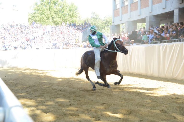 Palio di Asti. Le foto della prima batteria