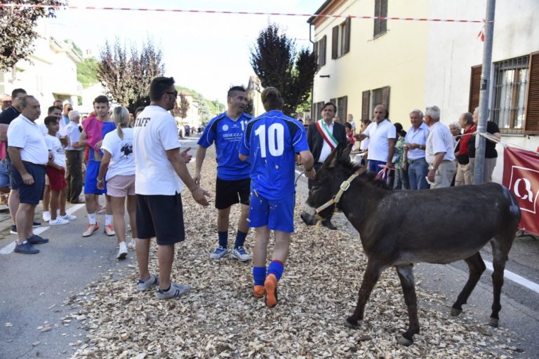 Palio degli Asini a Cocconato