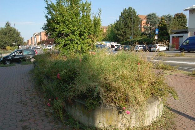 Ambiente Asti: “In città un nuovo metodo per risolvere il problema della manutenzione del verde pubblico”