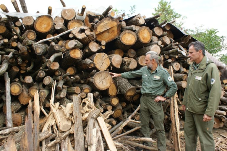 Tagli boschivi: le regole da seguire per gli abbattimenti nelle aree protette dell’Astigiano