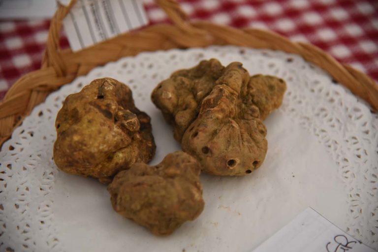 A Mombercelli una sagra del tartufo vip