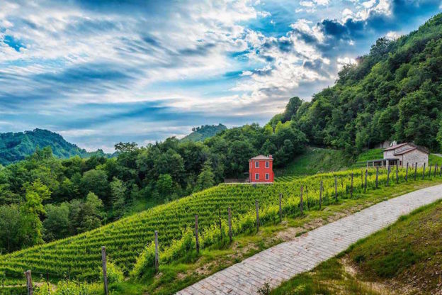 Ecco un itinerario per novembre dedicato agli amanti del vino