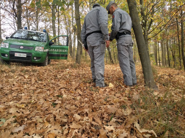 Raccolta illegale di tartufi: pugno duro dei carabinieri forestali