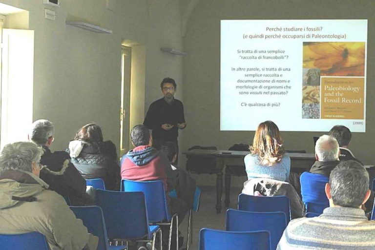 Fossili e mostre al Museo Paleontologico per il Capod’Asti