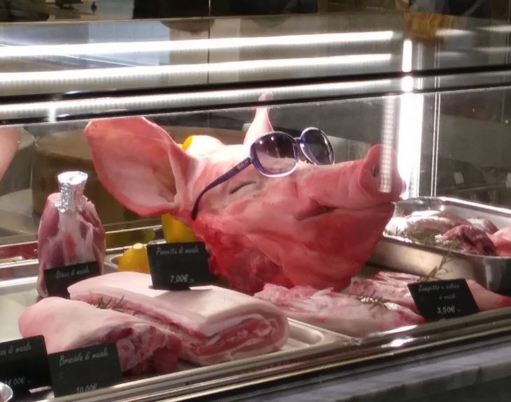 Proteste Lav per l’esposizione di una testa di maiale con gli occhiali da sole in una macelleria di Asti