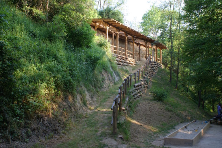 Museo più Riserva: torna il 25 febbraio l’accoppiata vincente alla scoperta dei fossili