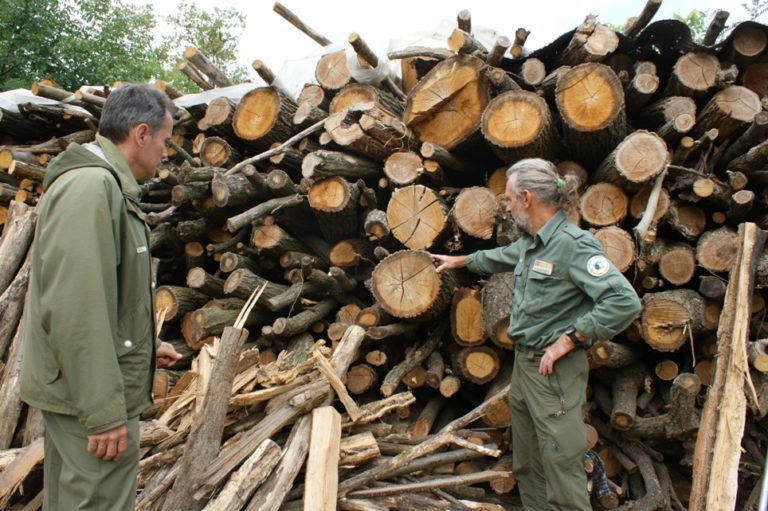 Tagli boschivi: superati i cento sopralluoghi dei guardiaparco nelle aree protette e non