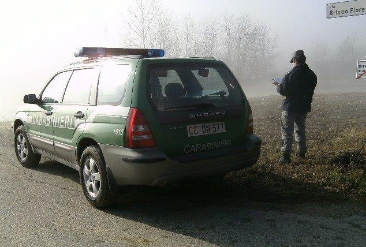 Taglia legna illegalmente: denunciato dai Forestali di Nizza Monferrato