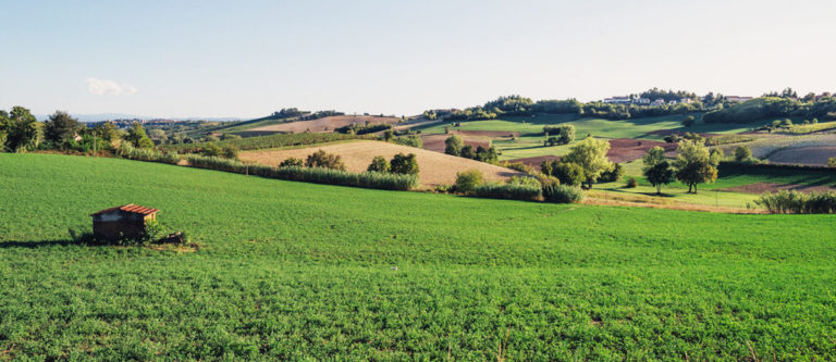 Primo bando del Gal Terre Astigiane nelle Colline Patrimonio dell’Umanità