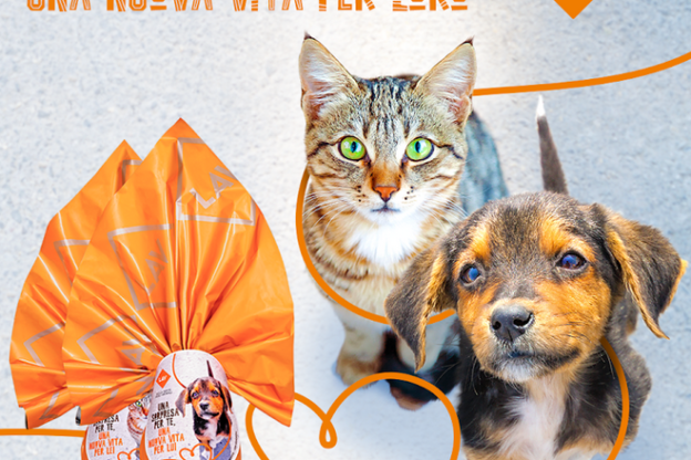 Gli animali non sono un lusso: Lav in piazza per un fisco amico dei quattrozampe