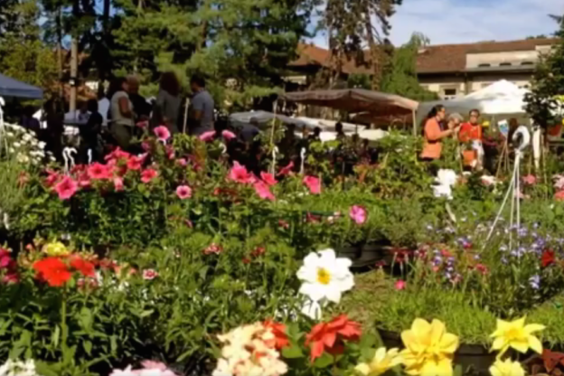 Fiori & Vini spegne 25 candeline. Fine settimana fra enogastronomia e cultura a Carignano