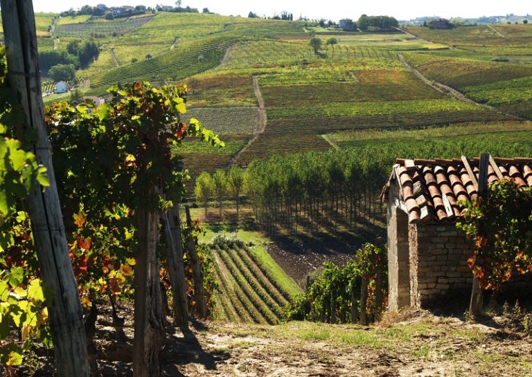 Andamenti turistici in Piemonte: nel 2018 superata la soglia dei 15milioni di pernottamenti