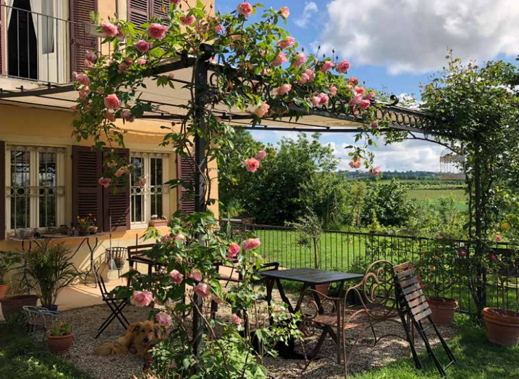 Una domenica tra le rose antiche del Monferrato