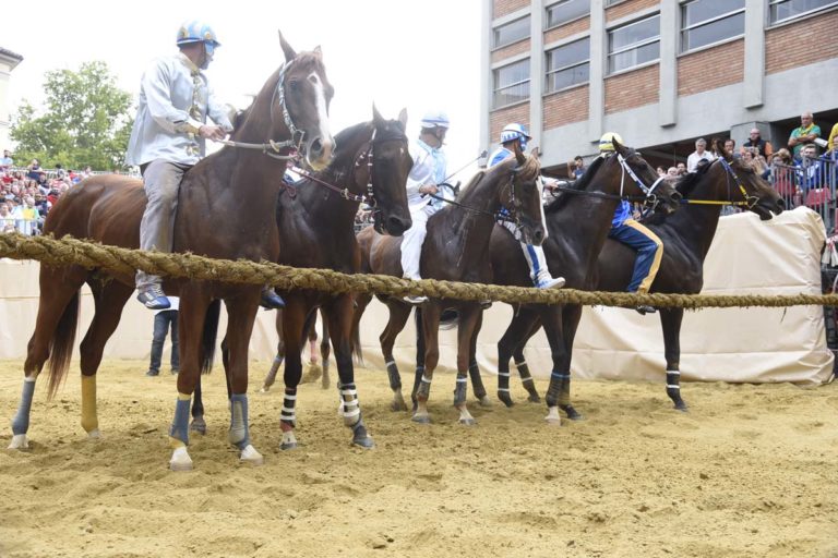 Palio, i pronostici della Gazzetta d’Asti