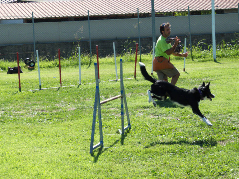 Un giorno da cani a Calosso