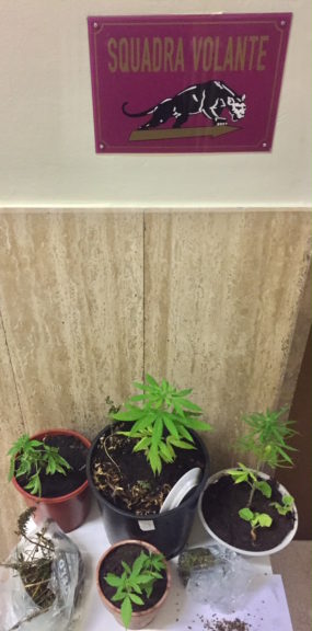 Asti, coltivava marijuana sul balcone di casa: denunciato dalla polizia